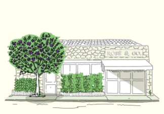 Ilustração da fachada da loja Rose & Co.